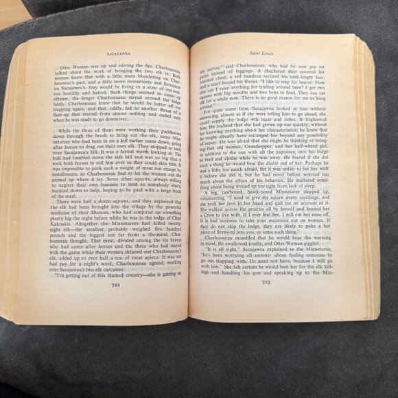 Sacajawea By Anna Lee Waldo Paperback Historical Fiction Worn Cover 1978 Edition - Picture 3 of 4